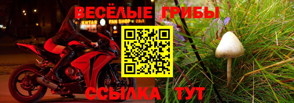 Псилоцибиновые грибы GOLDEN TEACHER Изобильный